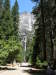 Thumbnail 1551_yosemite_falls.jpg 