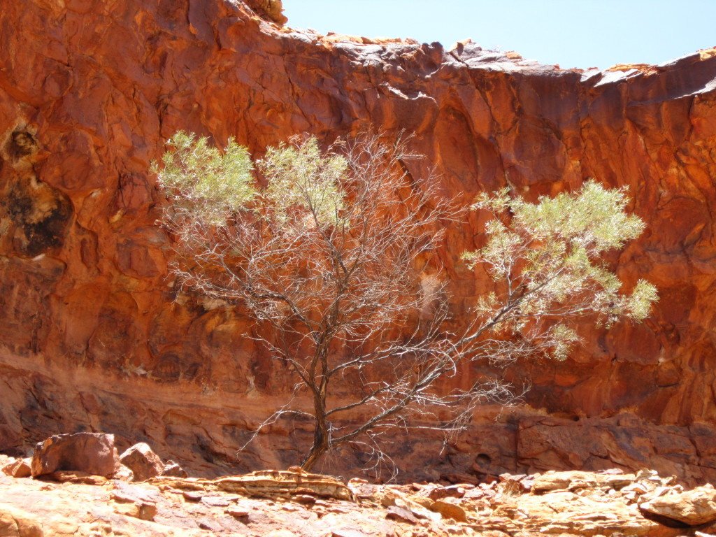 Scaled image 1315_rock_formation.jpg 