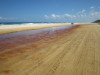 Thumbnail 1136_beach_at_the_pinnacles.jpg 