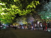 Thumbnail 40_unter_den_linden.jpg 